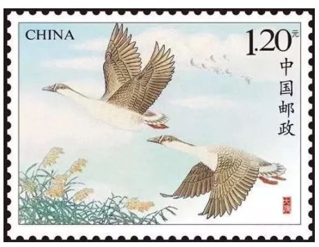 16 16